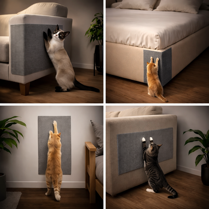 Arranhador Shield Pro©