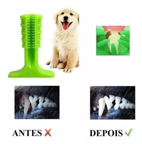 Escova de Dente para Pet