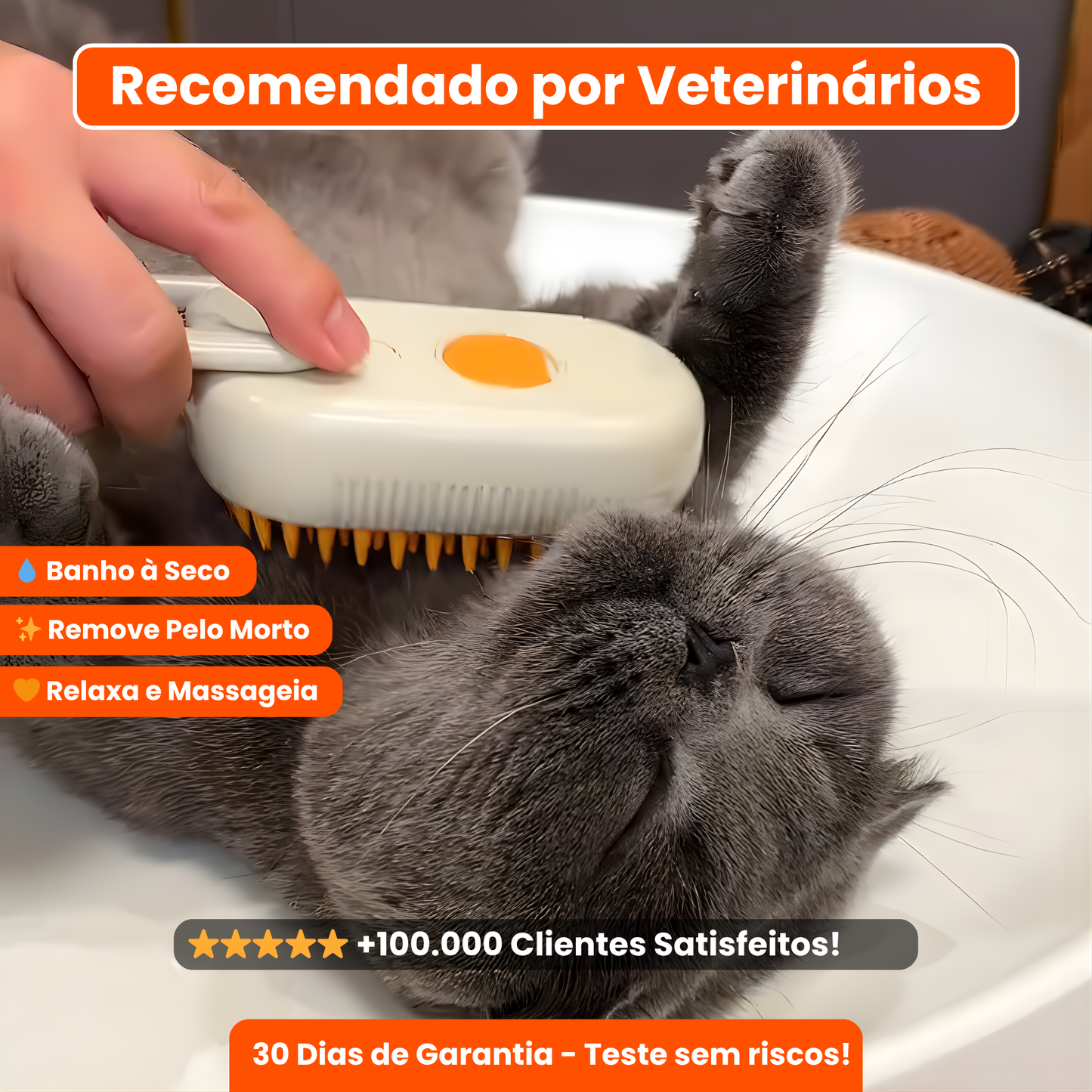 Escova Vaporizadora 3 em 1