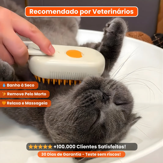 Escova Vaporizadora 3 em 1