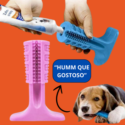 Escova de Dente para Pet