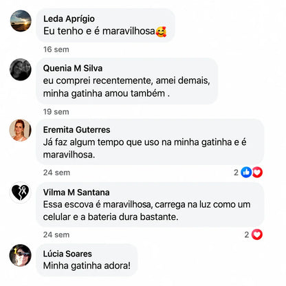 Escova Rasqueadeira - Pelagem Lisa e Sem Nós