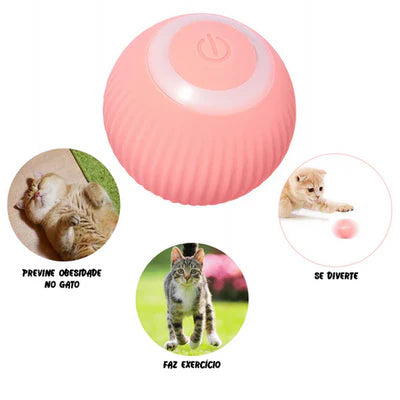 Bolinha Gravidade para cães e gatos!